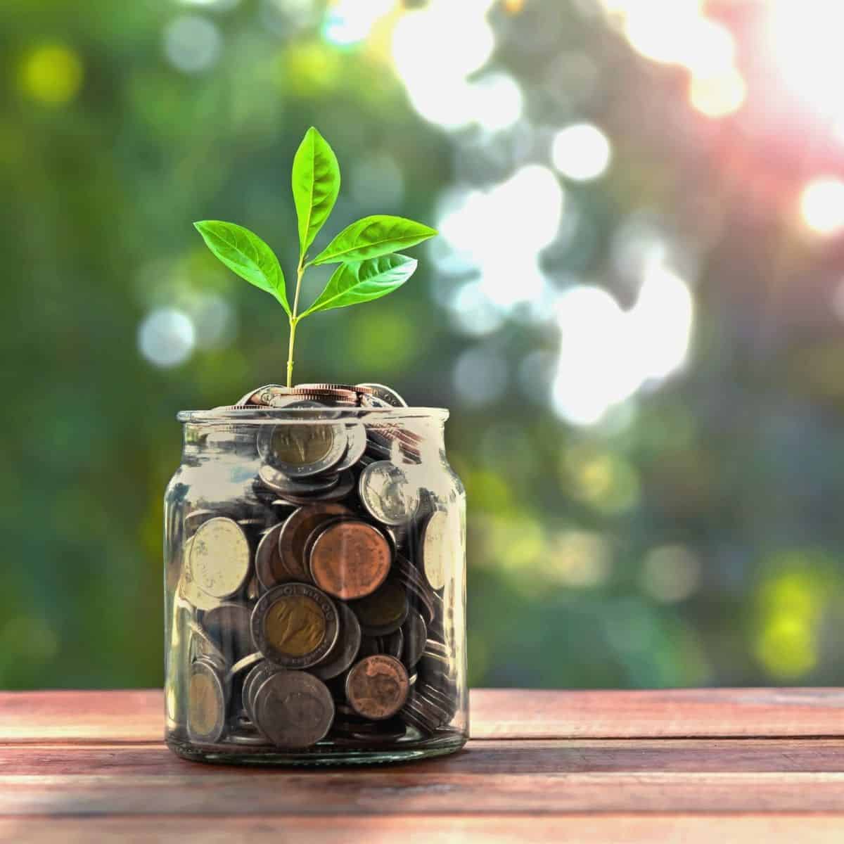 coins in a jar with leaf