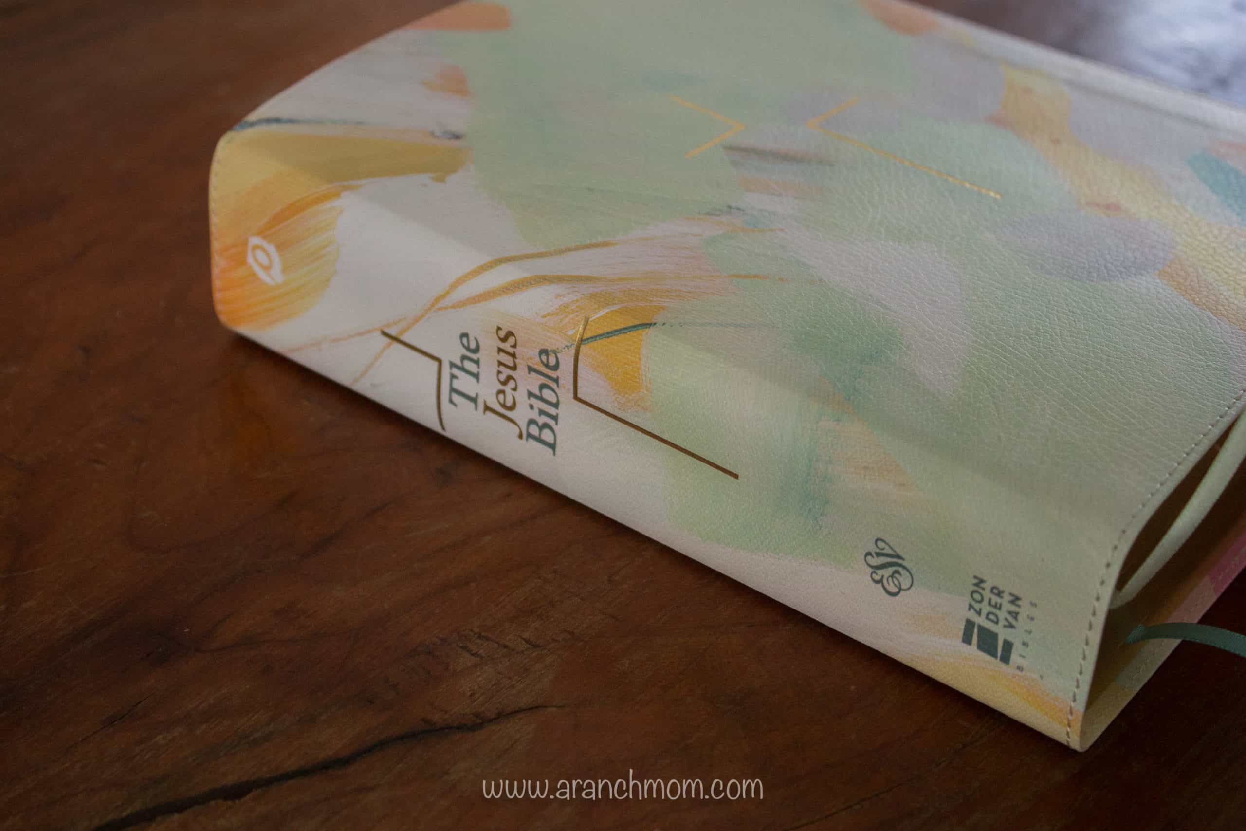 The Jesus Bible Review