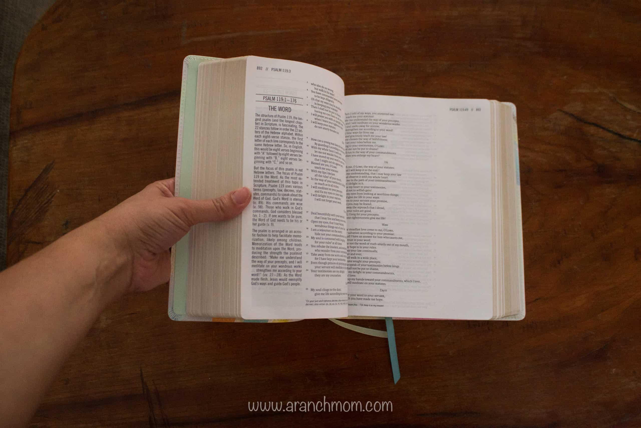 The Jesus Bible Review