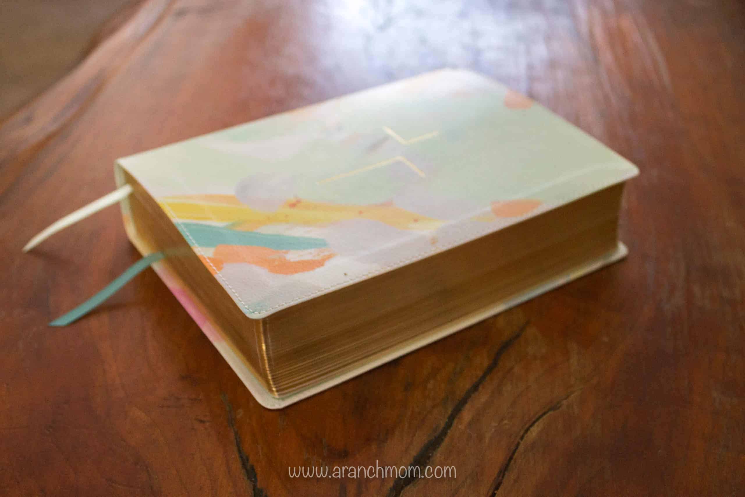 The Jesus Bible Review