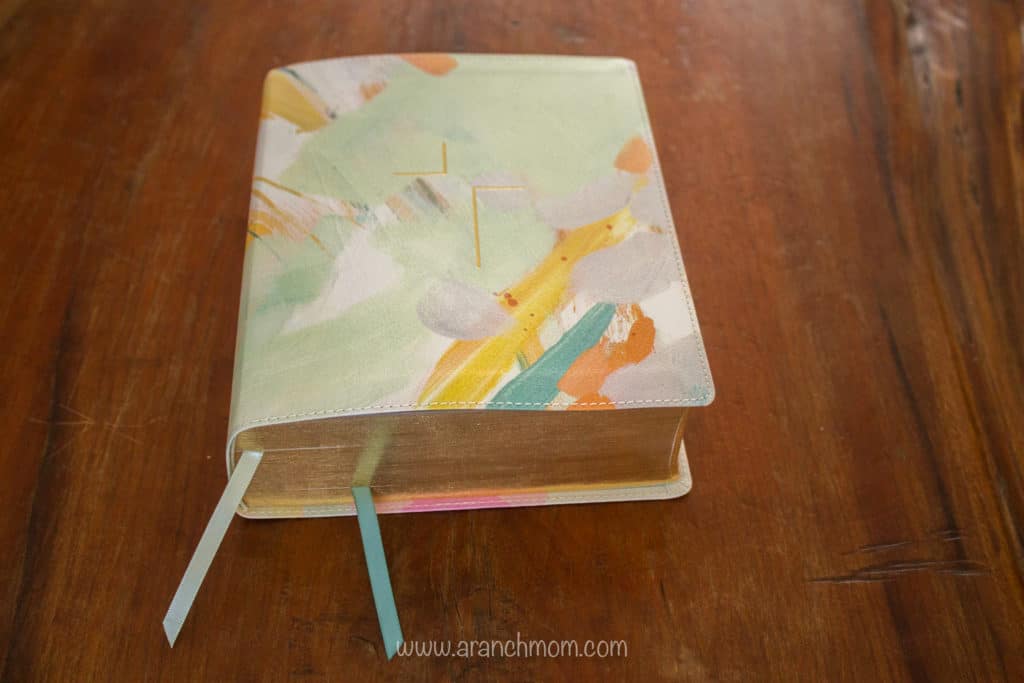 The Jesus Bible Review
