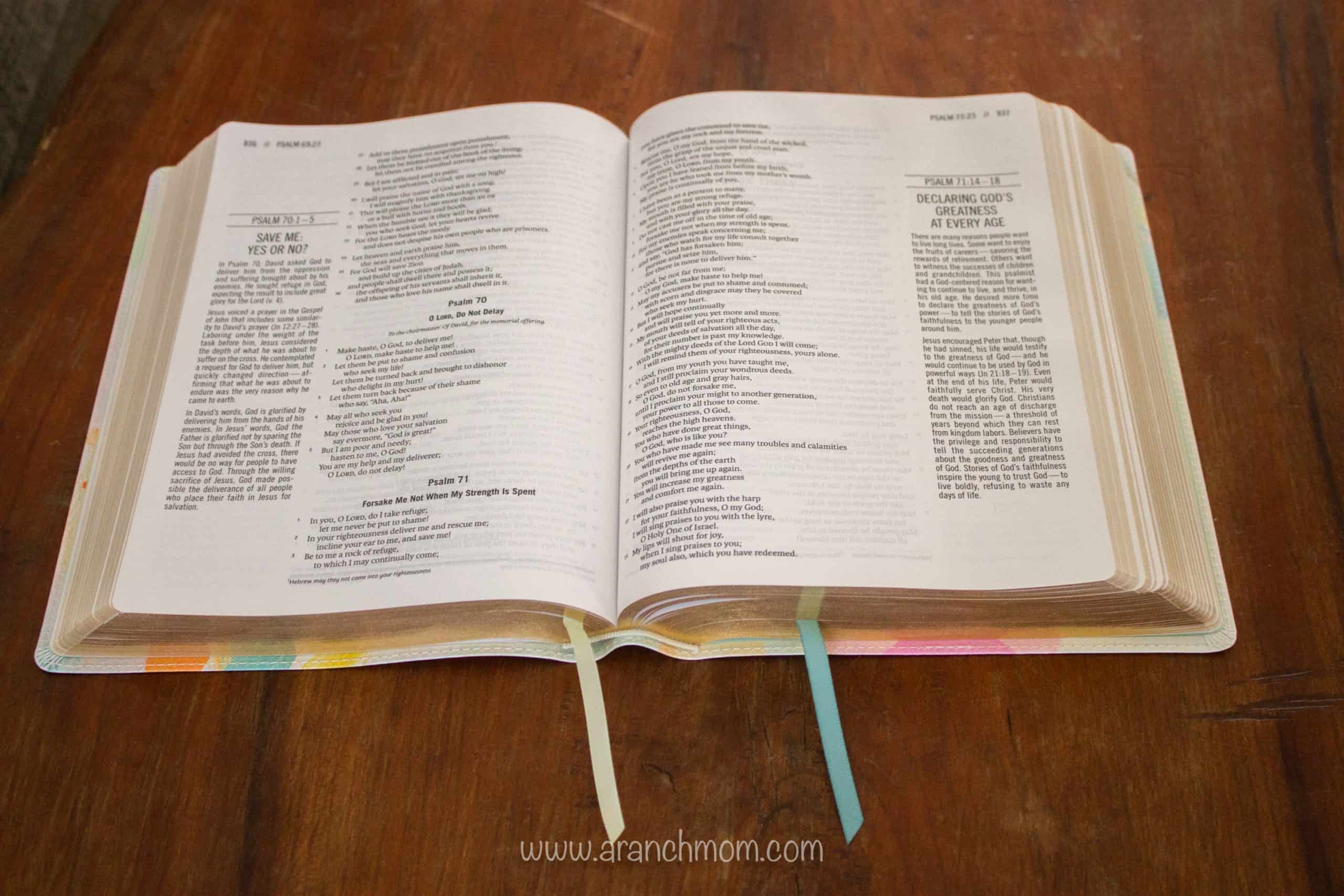 The Jesus Bible Review