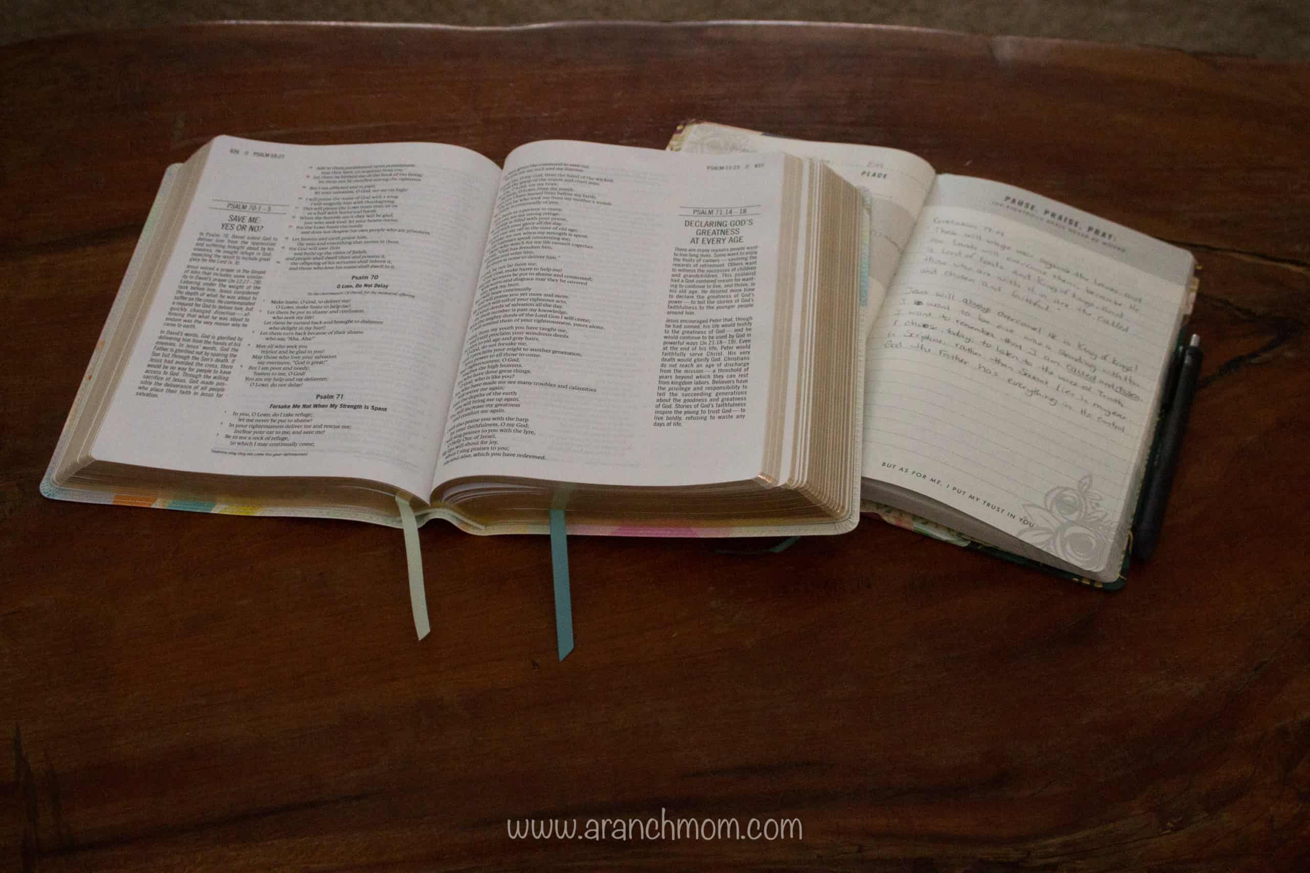 The Jesus Bible Review