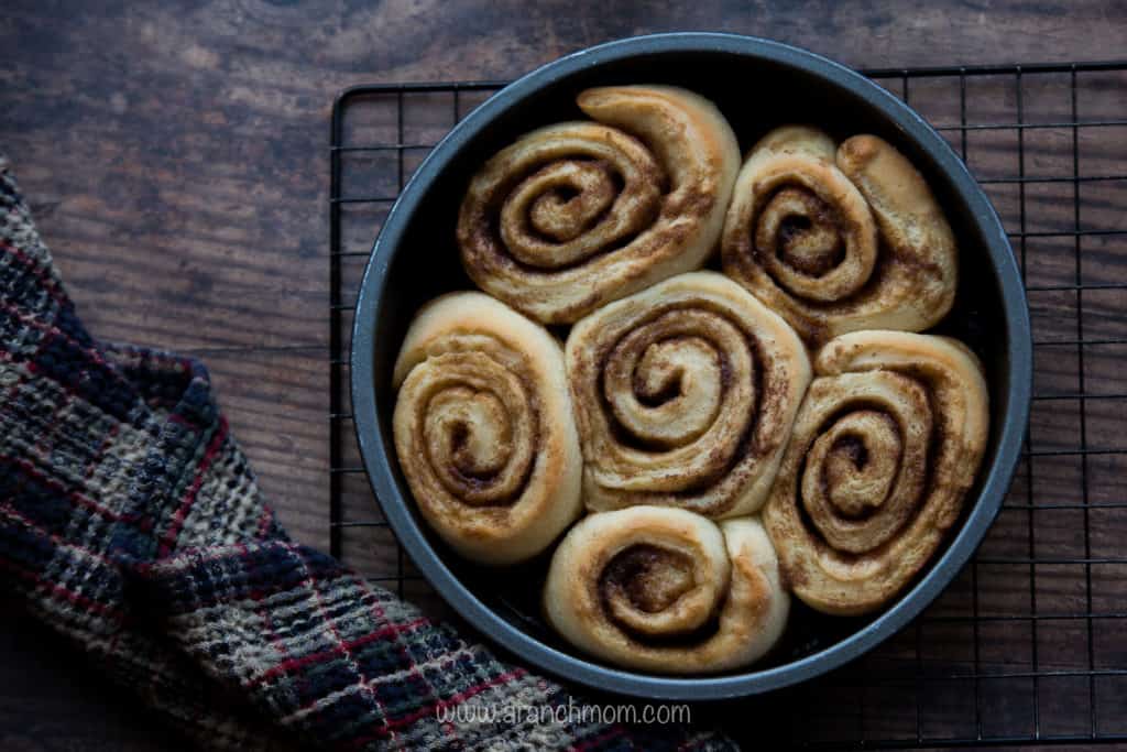 Cinnamon Rolls