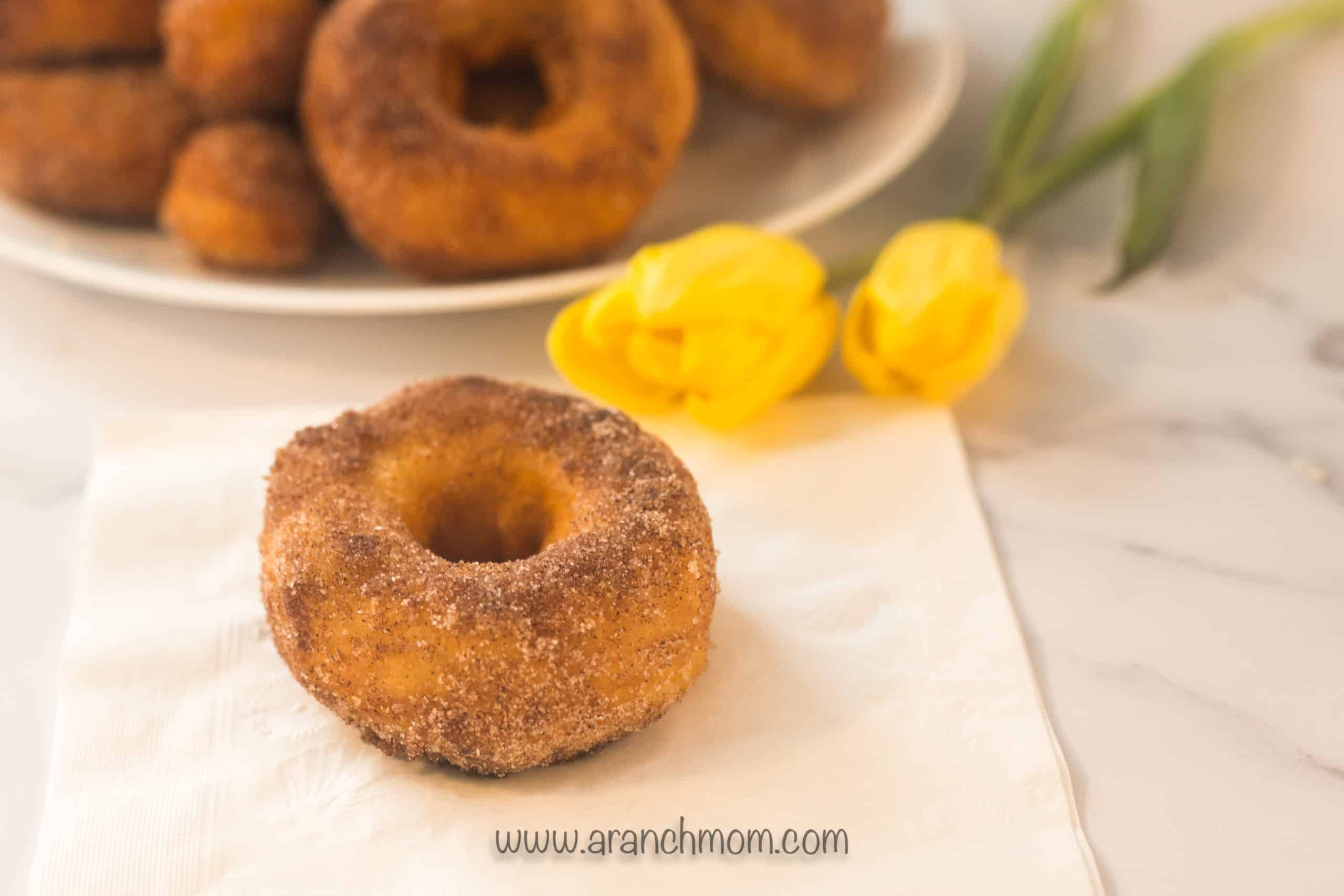 cinnamon sugar donut with tulip