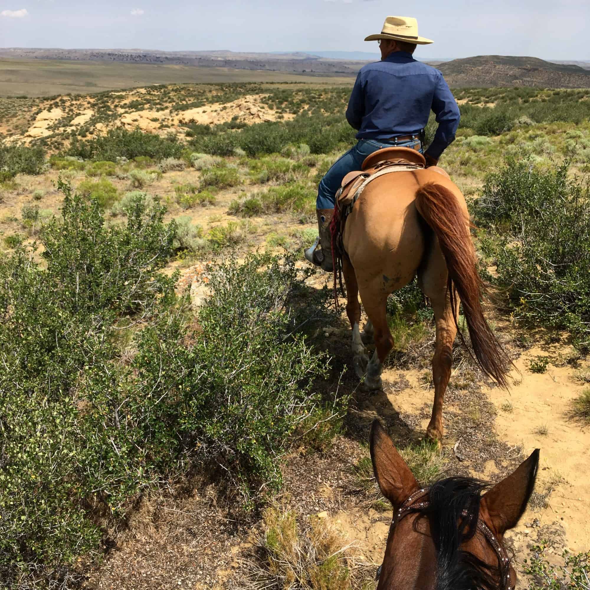 cowboy riding through sage