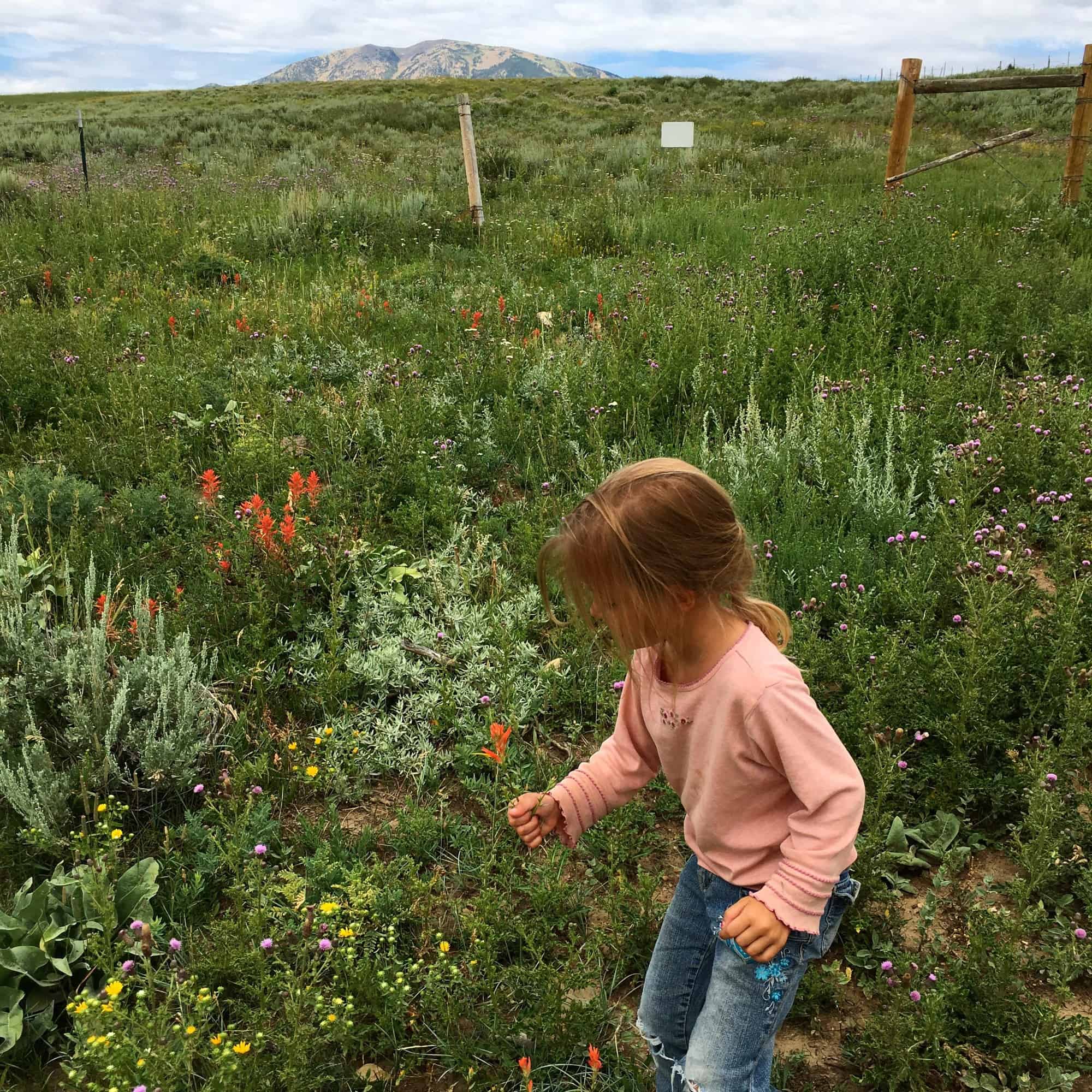 ranch kid picking wildflowers