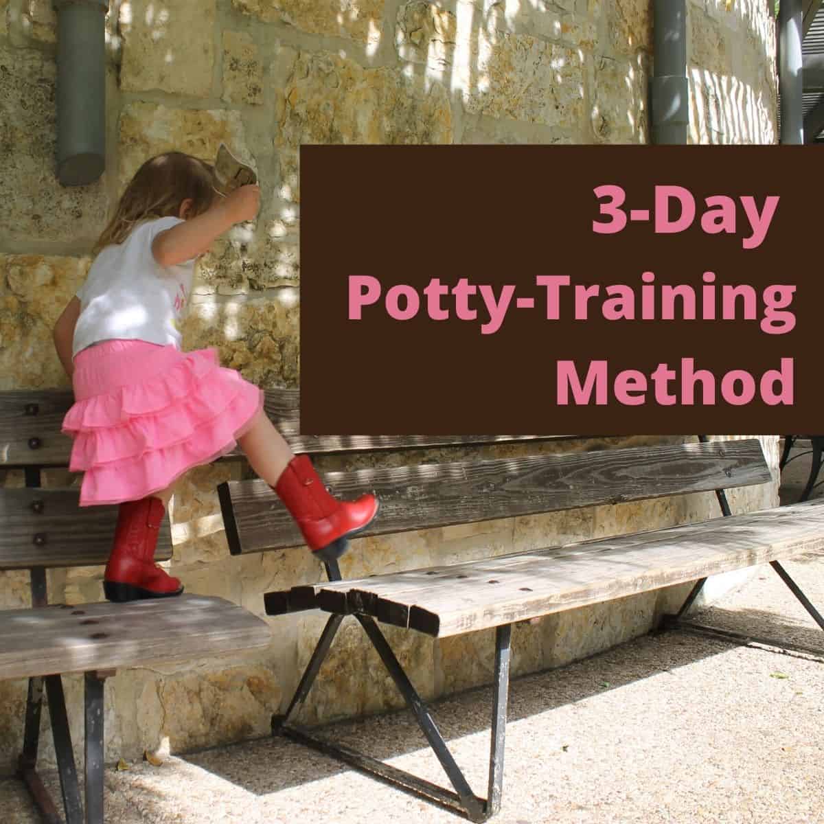 3 Day Potty Training Method A Ranch Mom