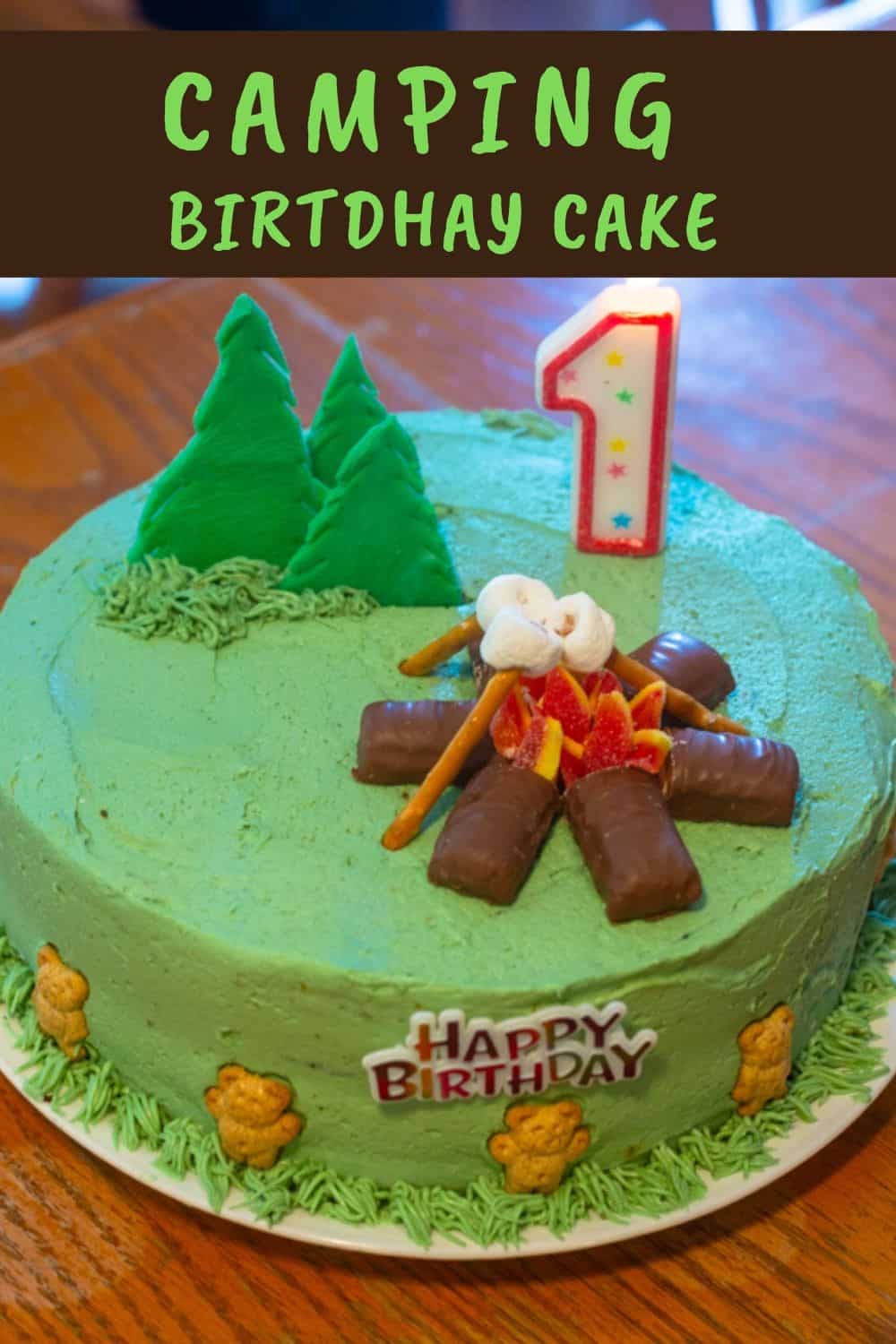 camping birthday cake pinterest image