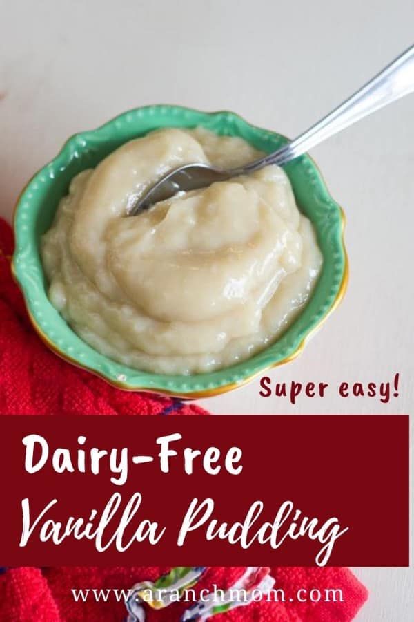 HOMEMADE SUGAR FREE VANILLA PUDDING RECIPE visual data 8
