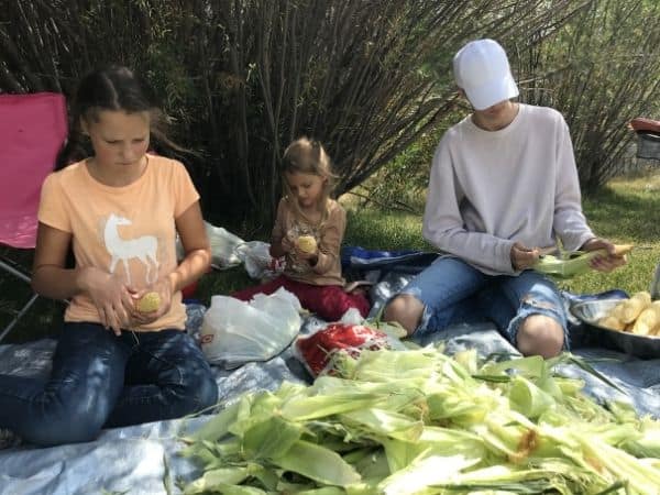 kids husking corn onto tarp