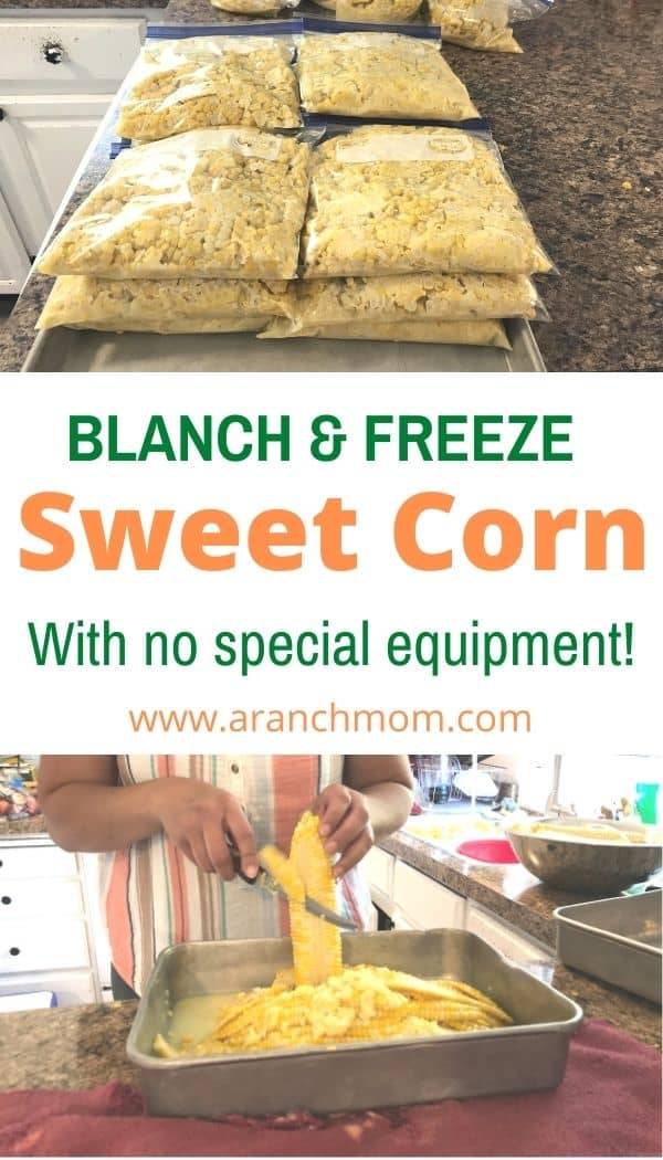 pin image freezing corn