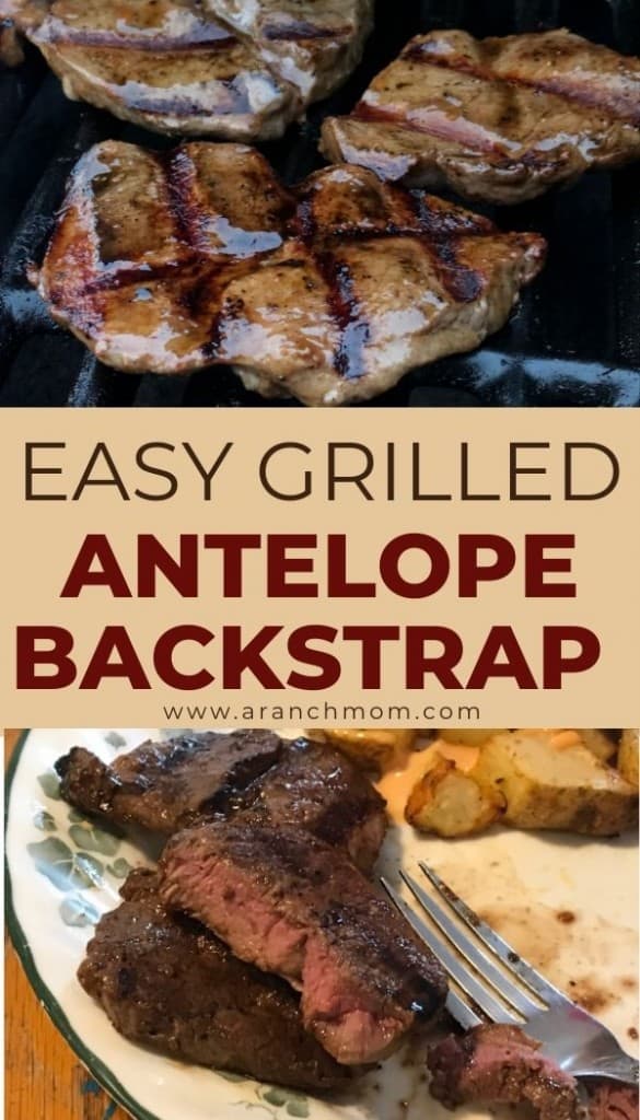 18+ Antelope Steak Recipes