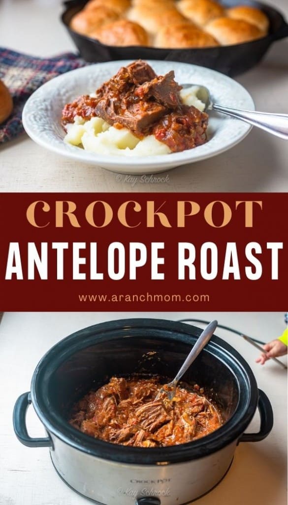 Antelope roast pin image