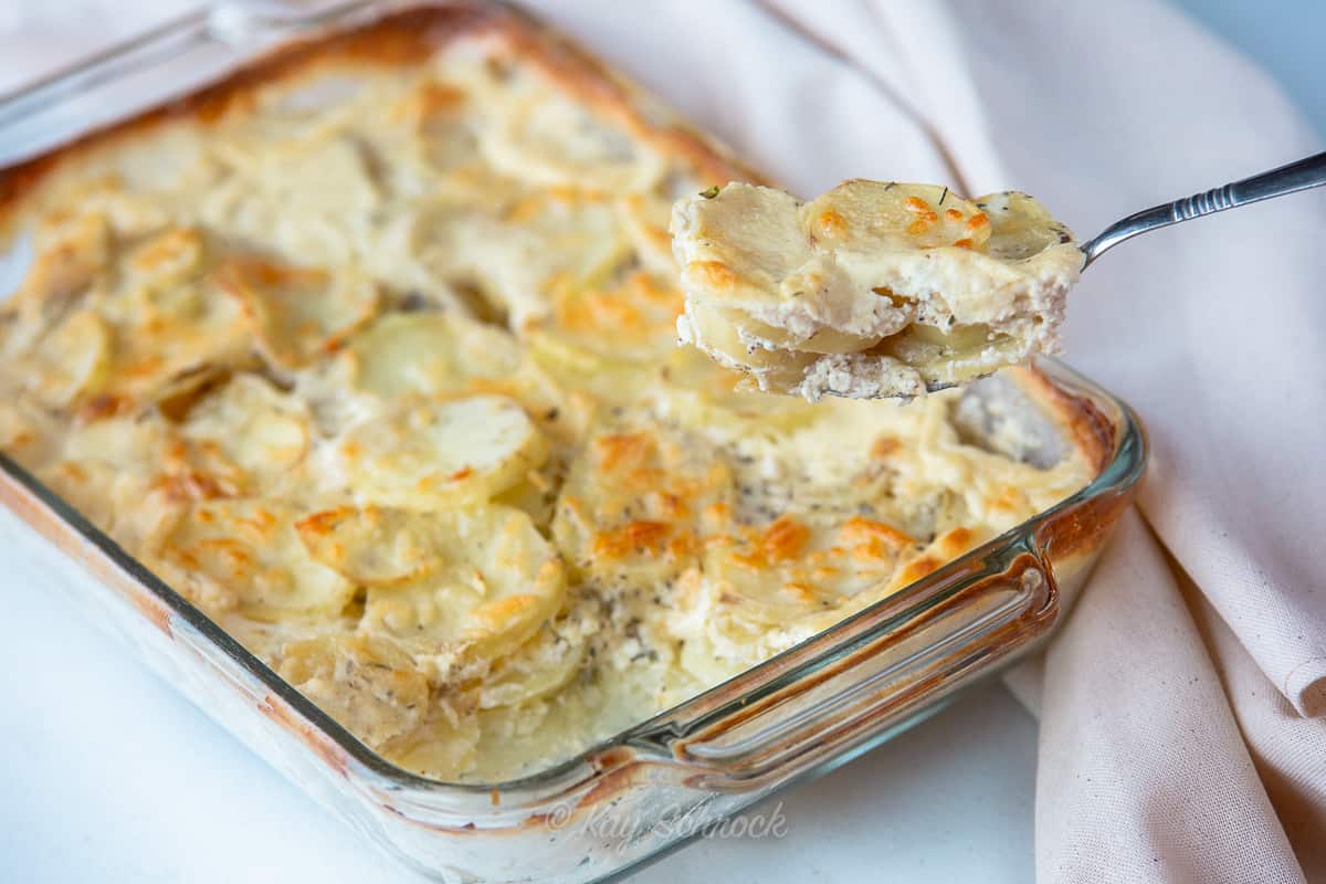 spoonful of Old Fashioned Scalloped Potatoes