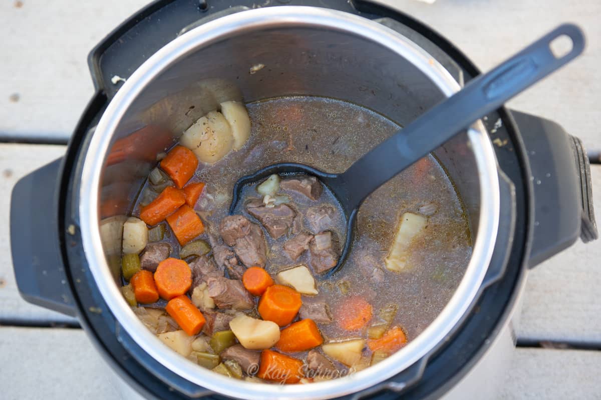 venison stew in instant pot