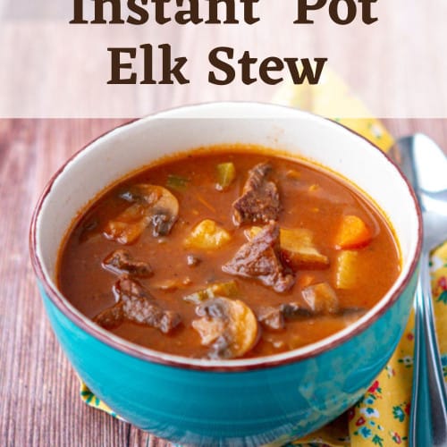 Instant pot elk steak sale