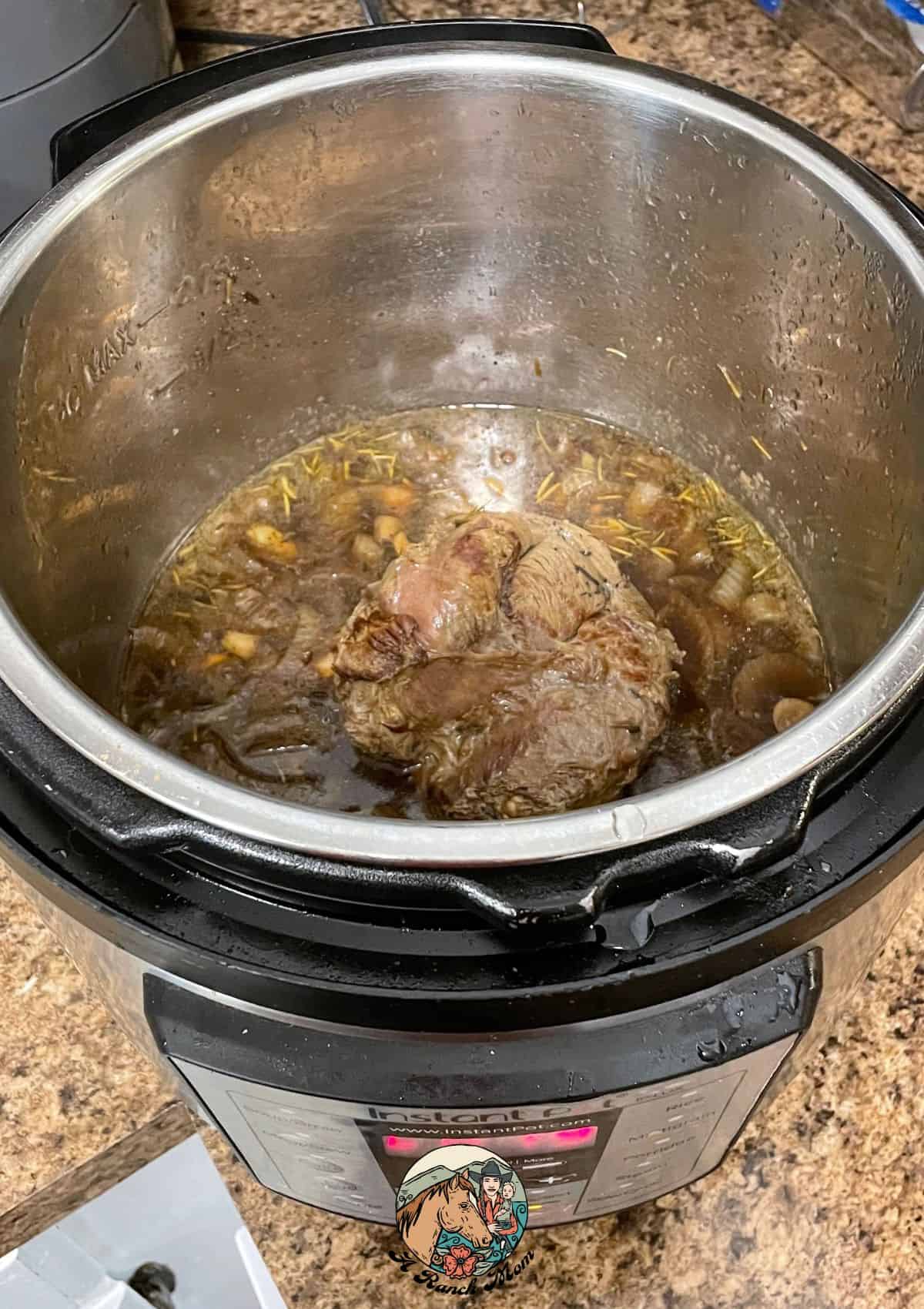 deer roast in instant pot with broth and onions