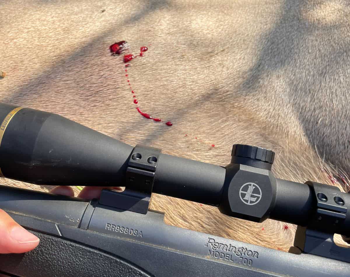 rifle beside bullethole