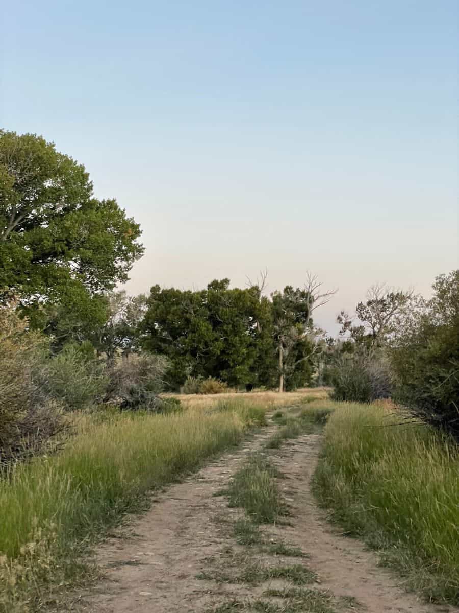 country lane in Wyoming 