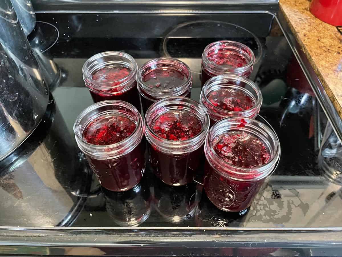 jam jars full of jelly with no lids