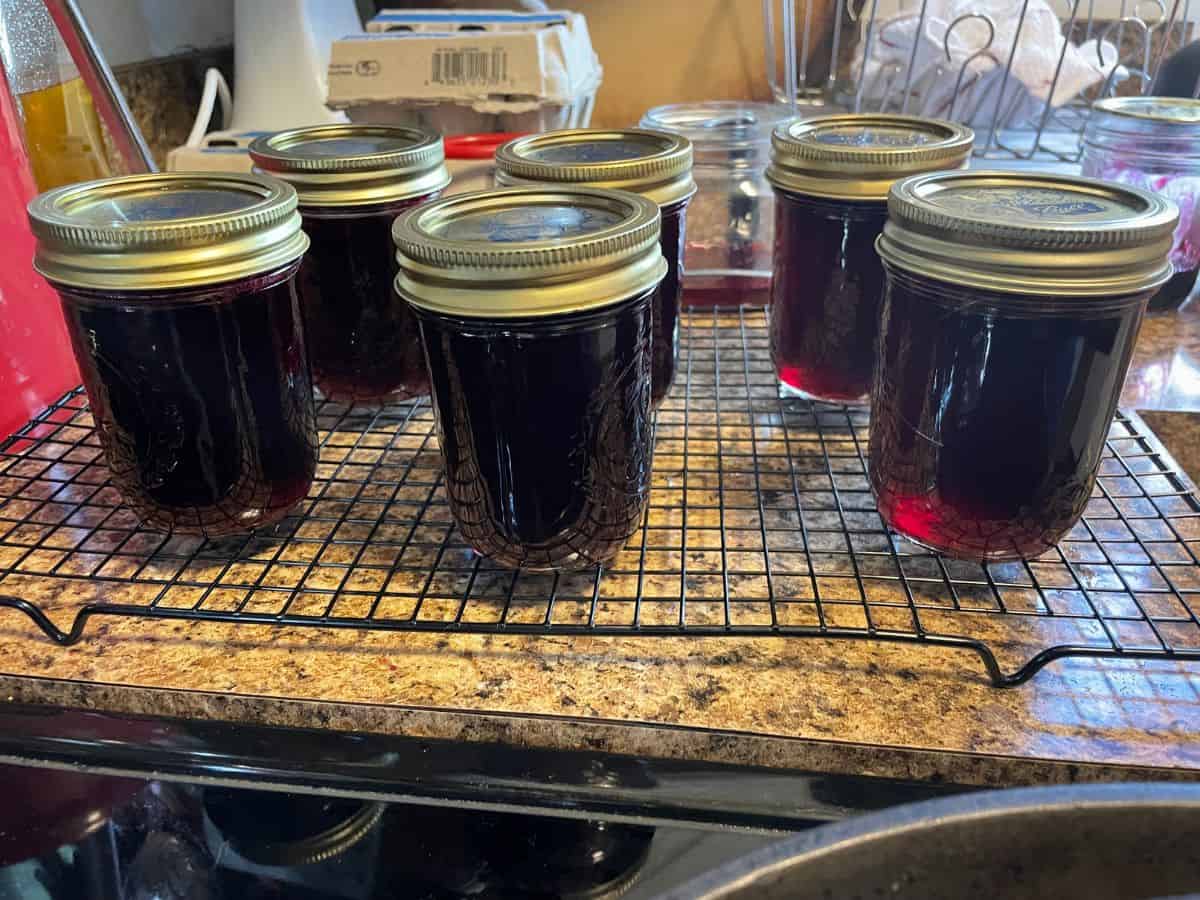 finished jars of jelly cooling on wire racks