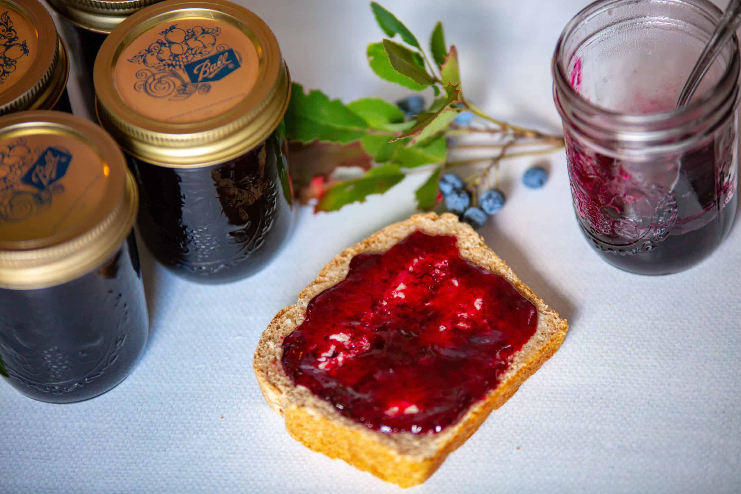 Oregon grape jelly on slice of bread