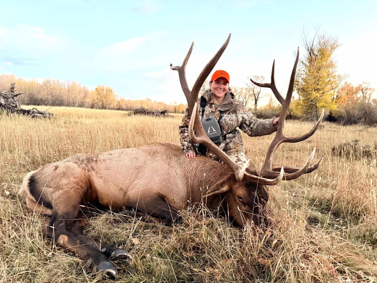 bull elk and happy hunter