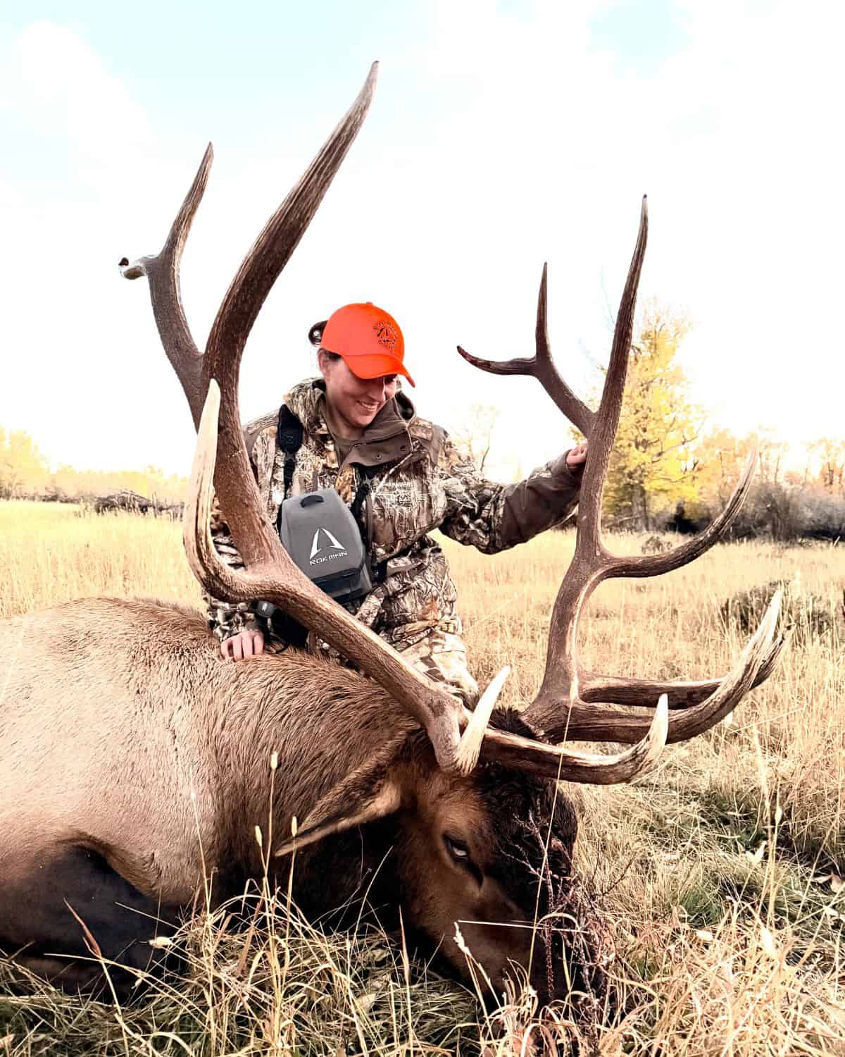 bull elk with happy hunter