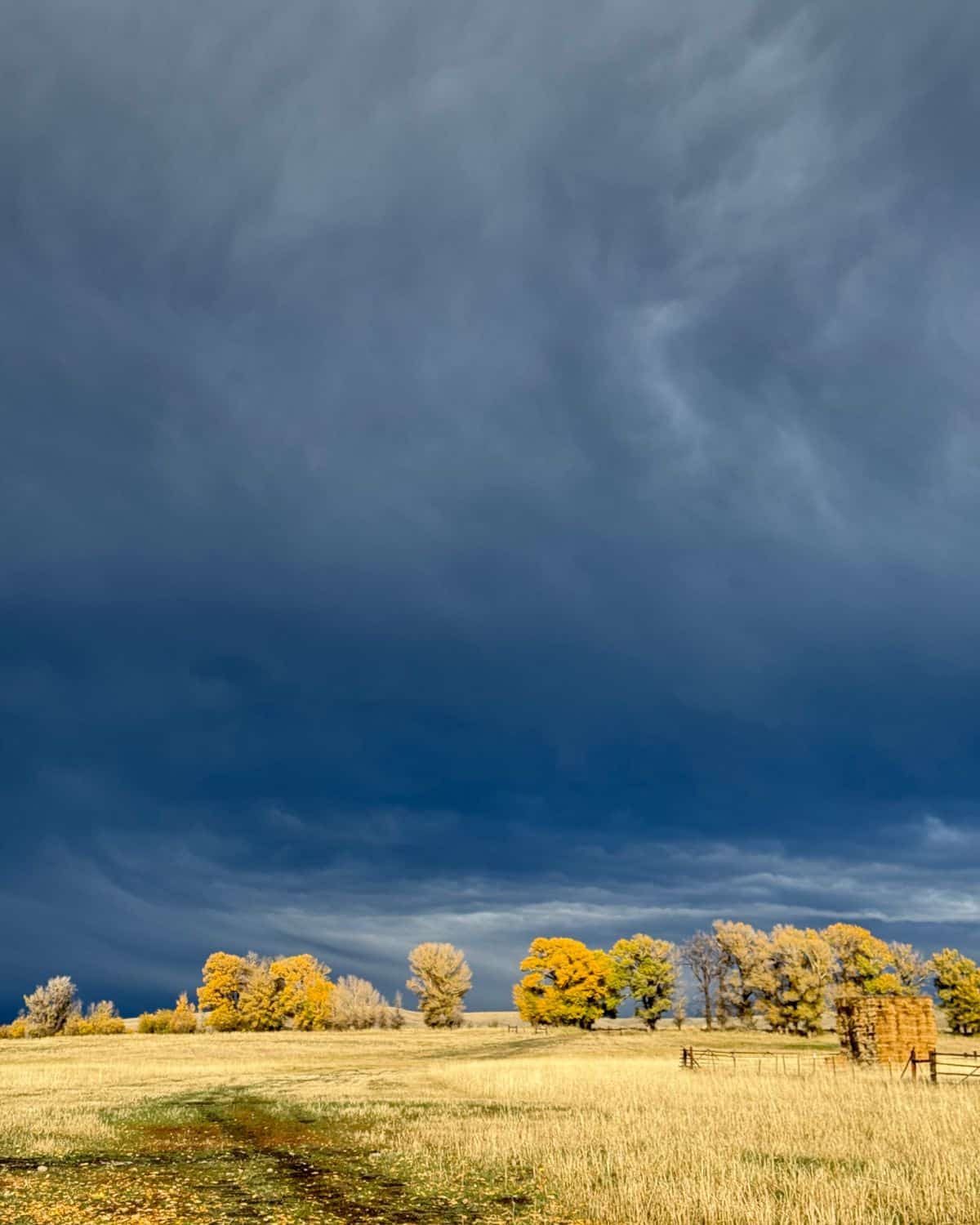 storm clouds over a meadow